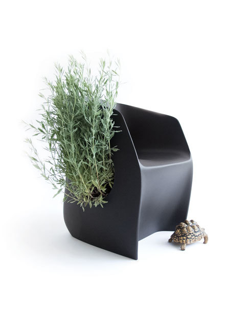 Floral apparatus，Botany，Home Furnishing，Utensils，chair，