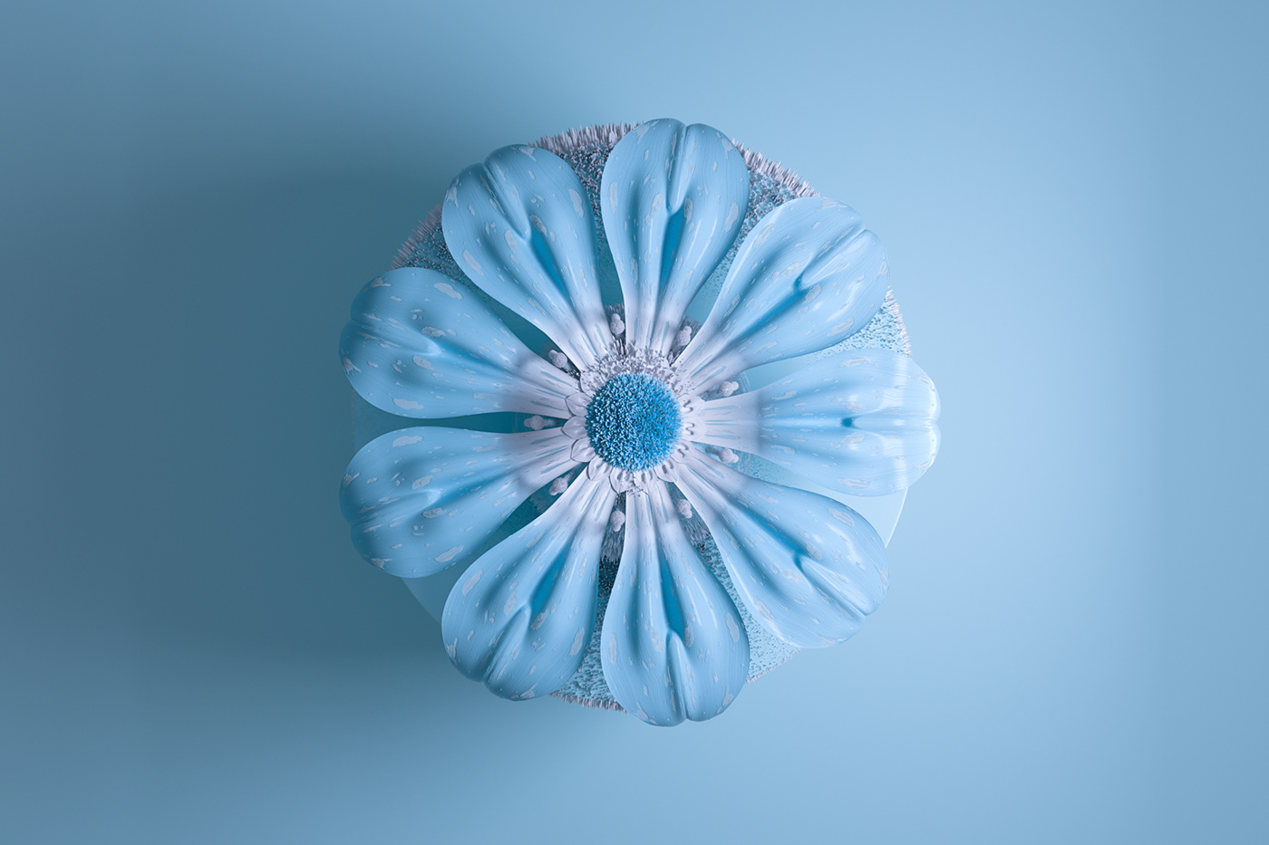 Nach.，Botany，BOTANIC，