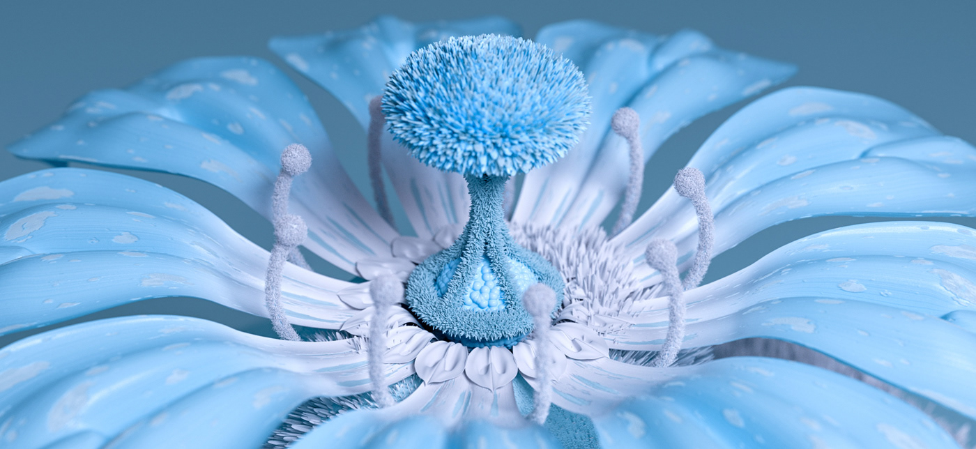 Nach.，Botany，BOTANIC，