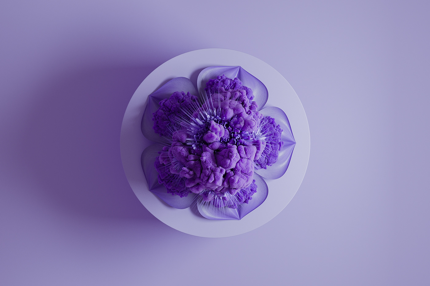 Nach.，Botany，BOTANIC，