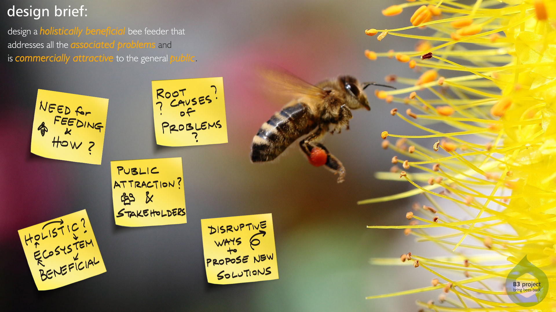 Holistic feeding concept，honeybee，B3 project，