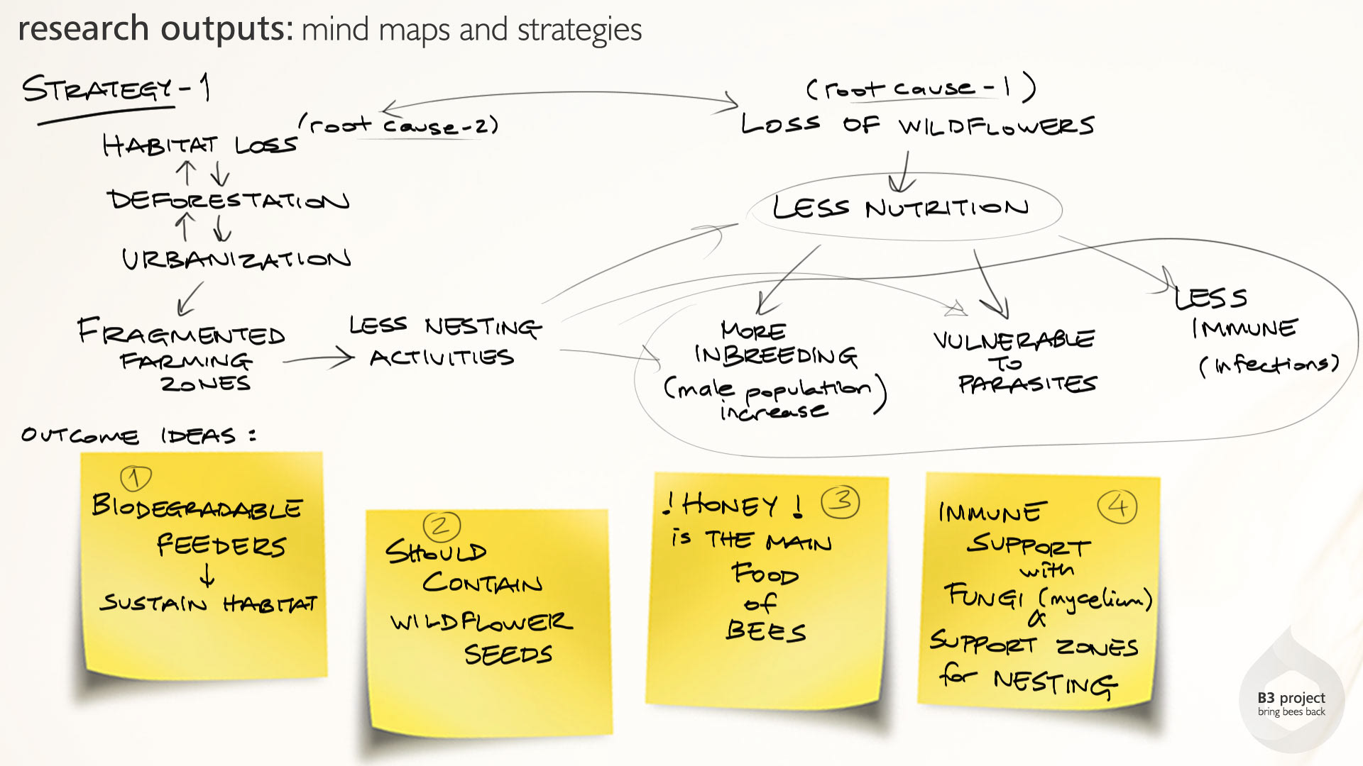 Holistic feeding concept，honeybee，B3 project，