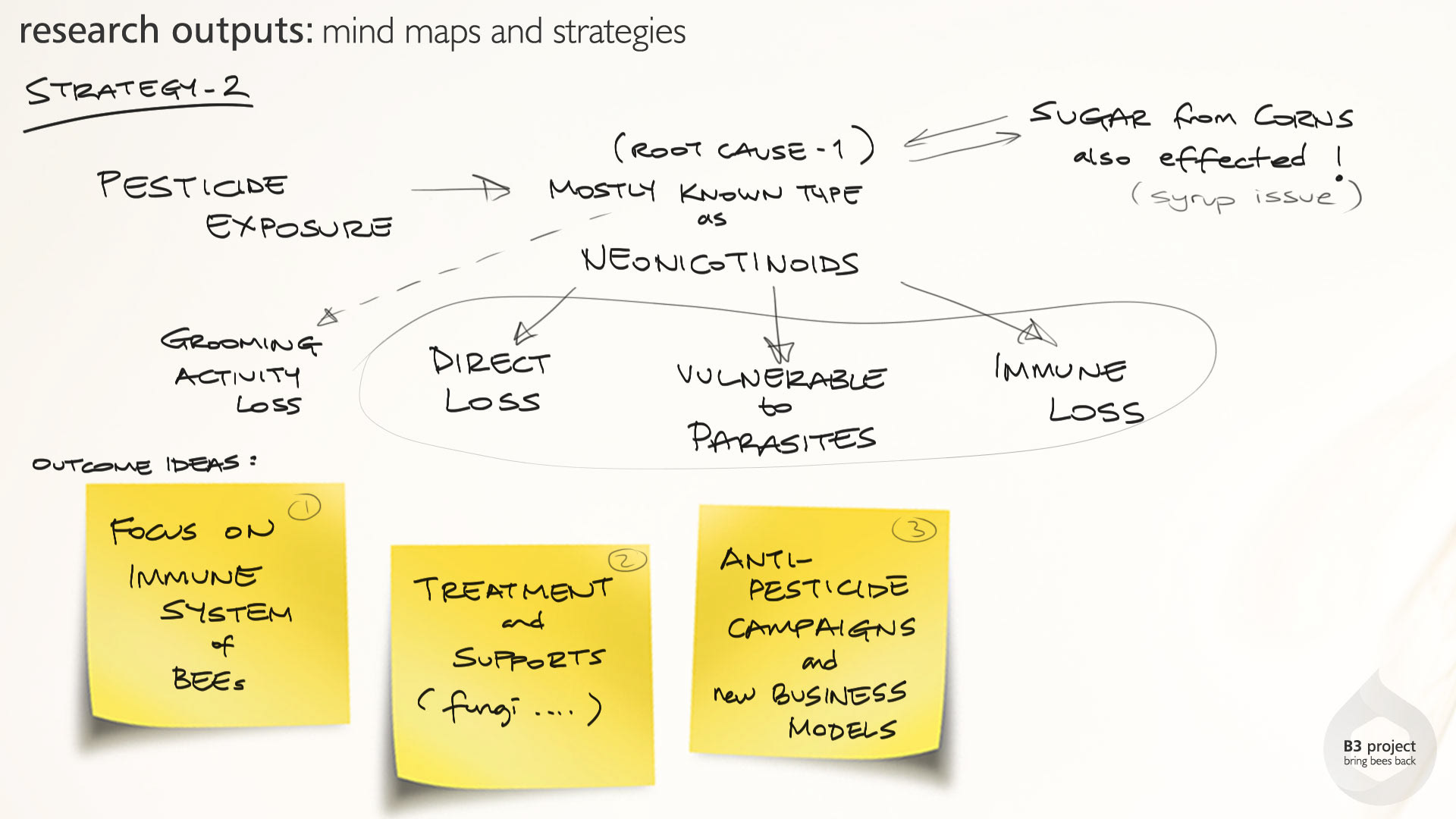Holistic feeding concept，honeybee，B3 project，