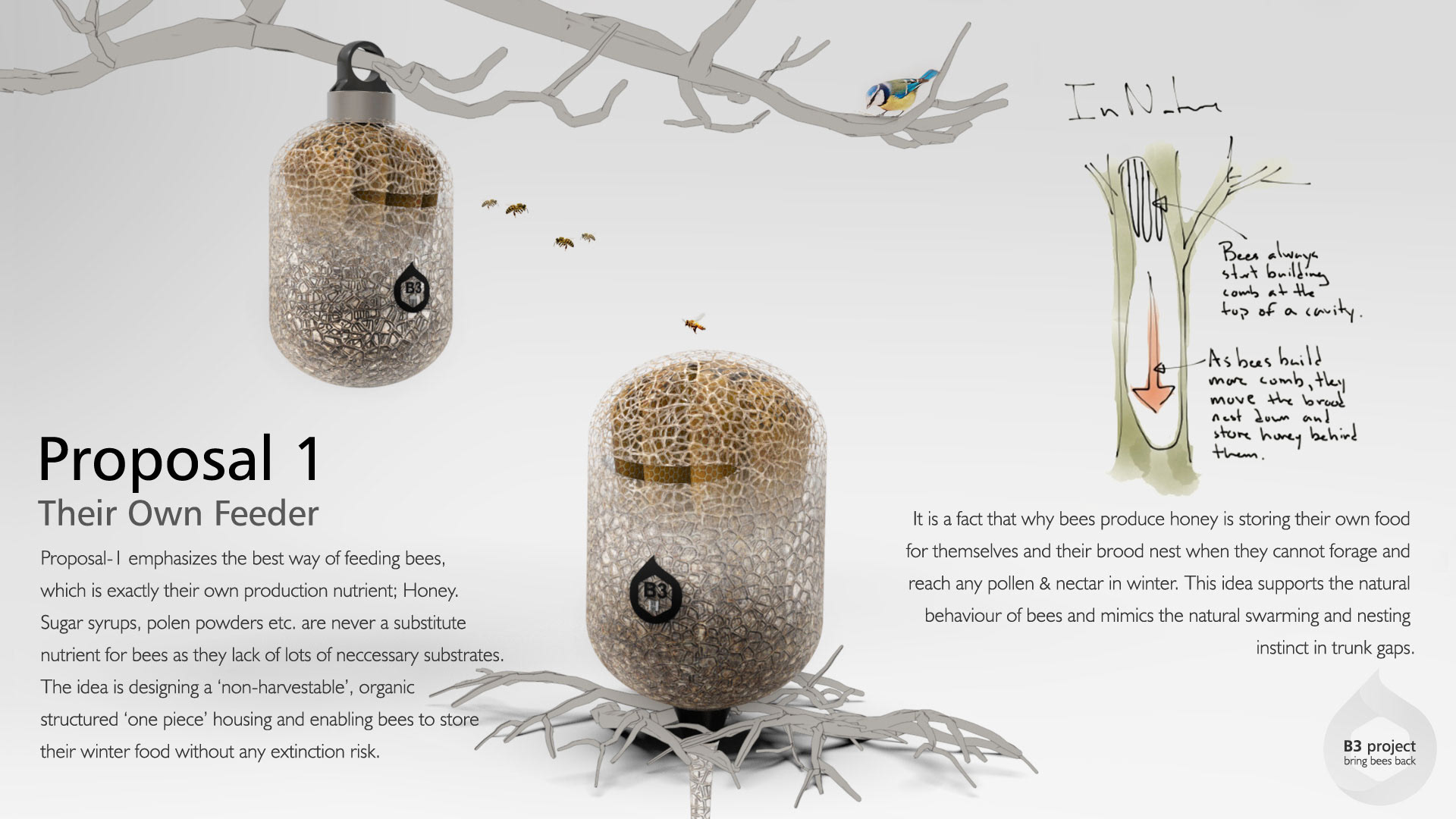 Holistic feeding concept，honeybee，B3 project，