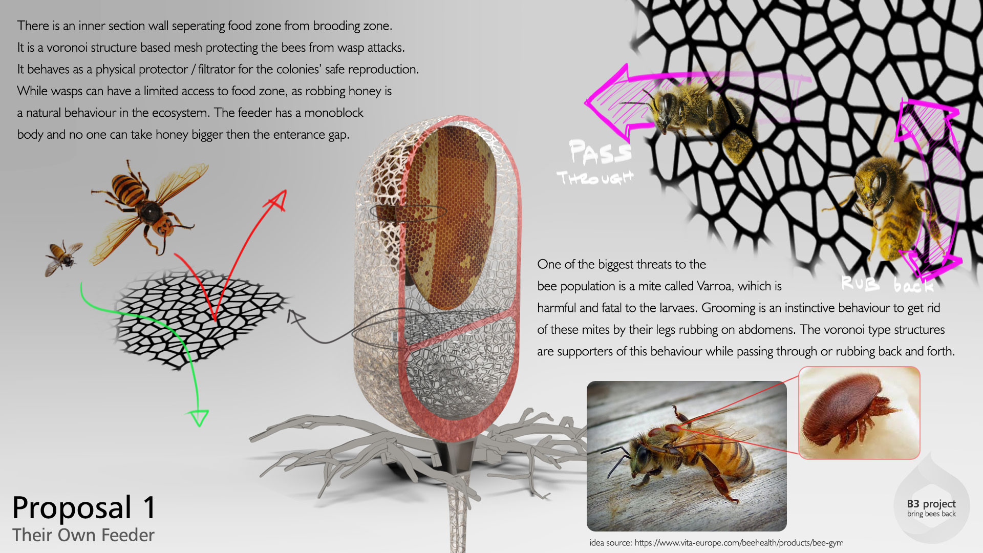 Holistic feeding concept，honeybee，B3 project，