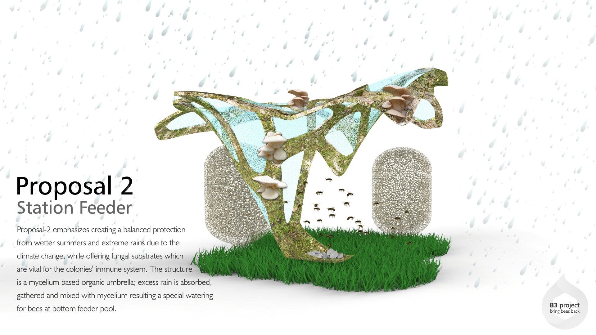 Holistic feeding concept，honeybee，B3 project，