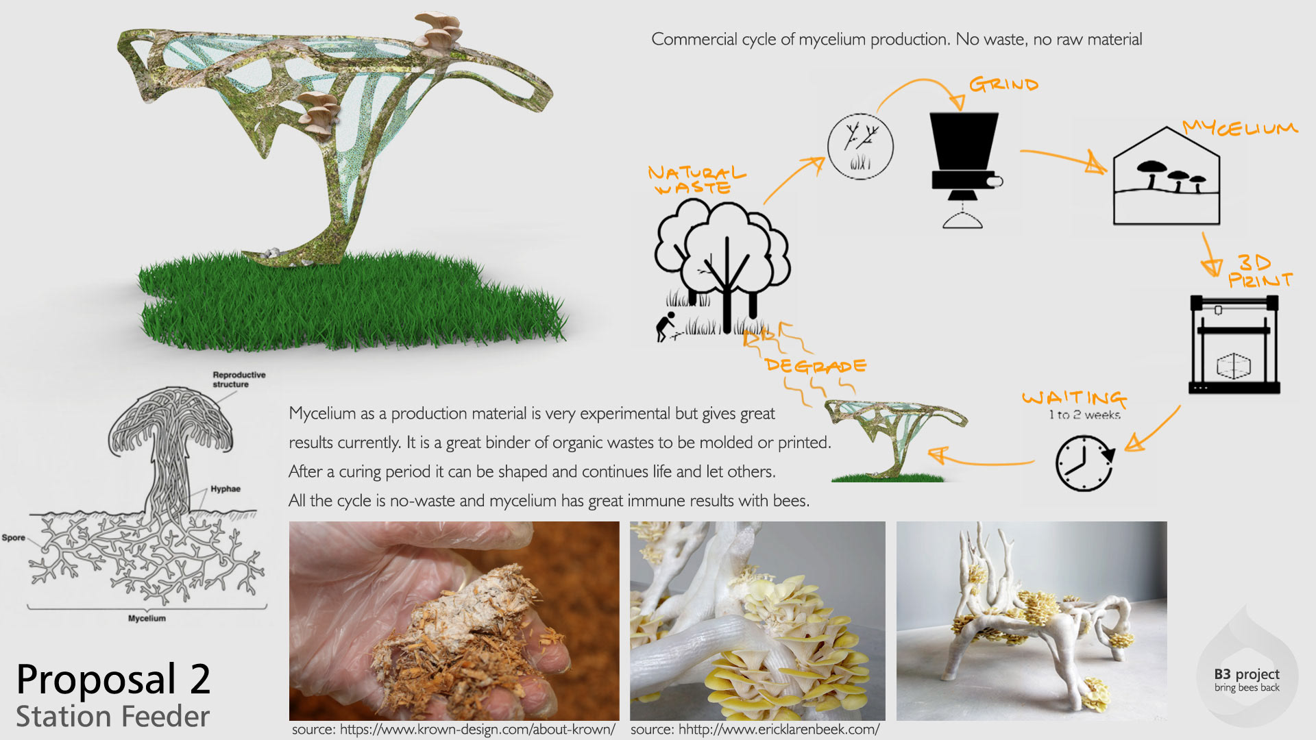 Holistic feeding concept，honeybee，B3 project，