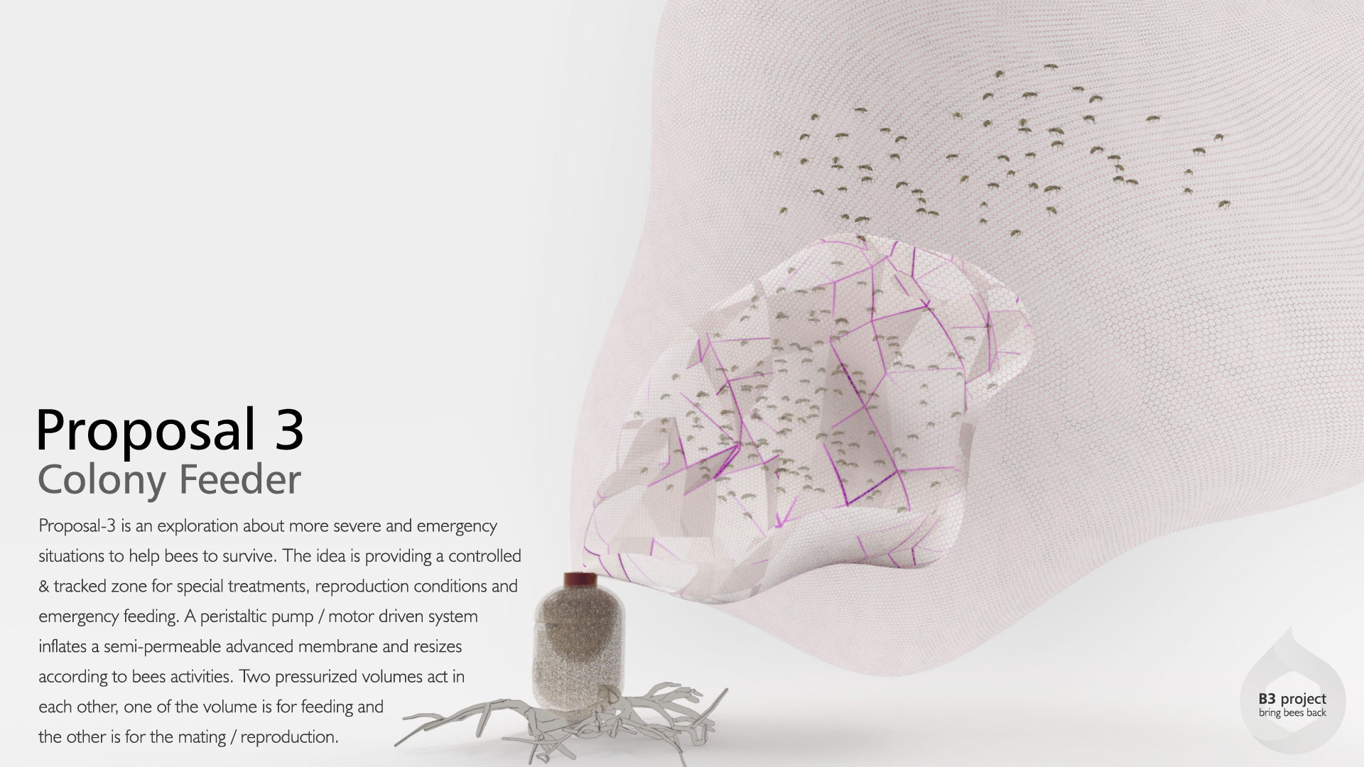 Holistic feeding concept，honeybee，B3 project，