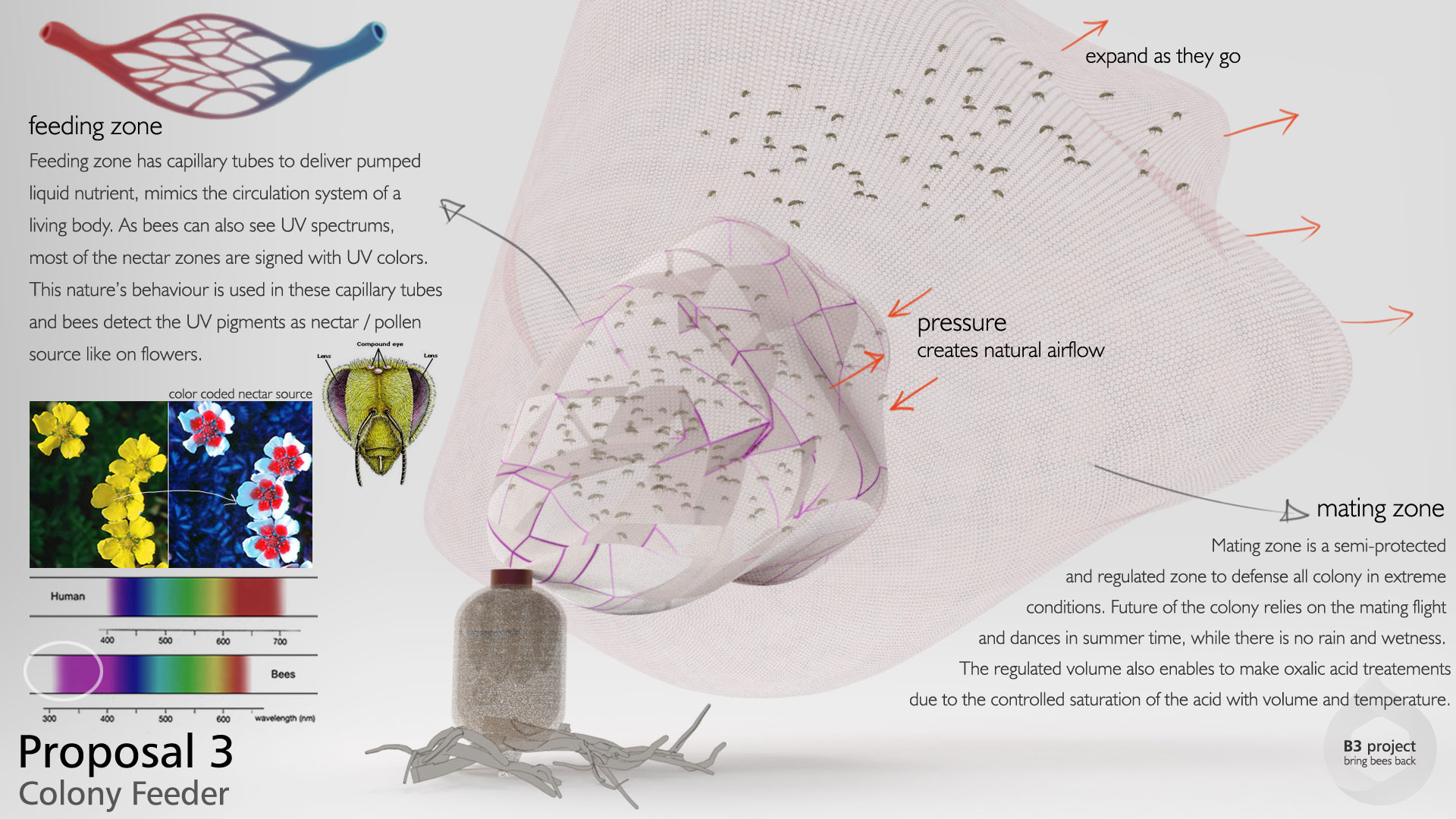 Holistic feeding concept，honeybee，B3 project，