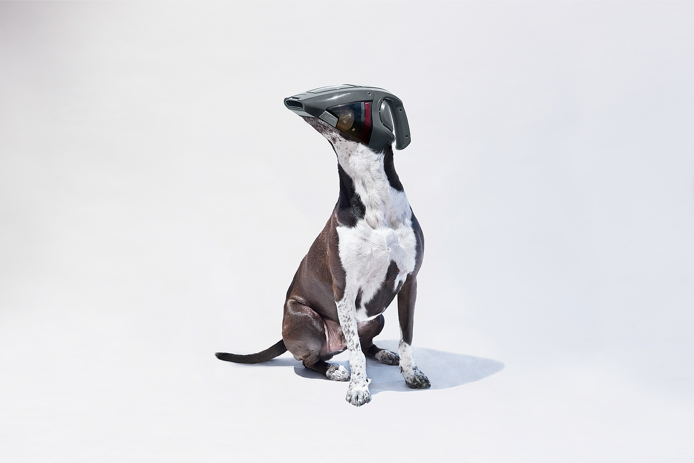 Vacuum dog，Creative design，Art guidance，Vacuum cleaner，advertisement，Art，originality，