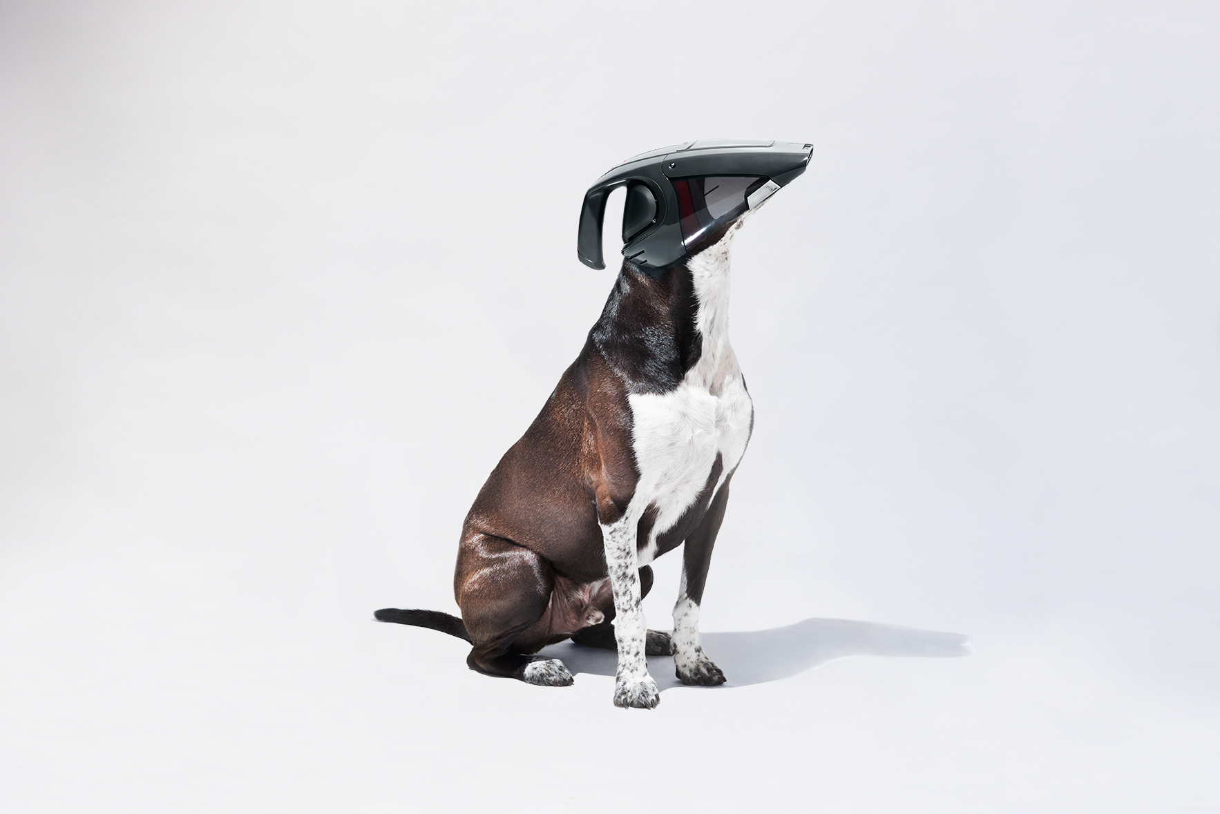 Vacuum dog，Creative design，Art guidance，Vacuum cleaner，advertisement，Art，originality，
