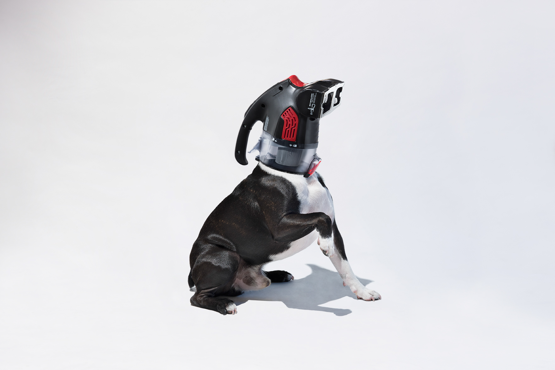 Vacuum dog，Creative design，Art guidance，Vacuum cleaner，advertisement，Art，originality，