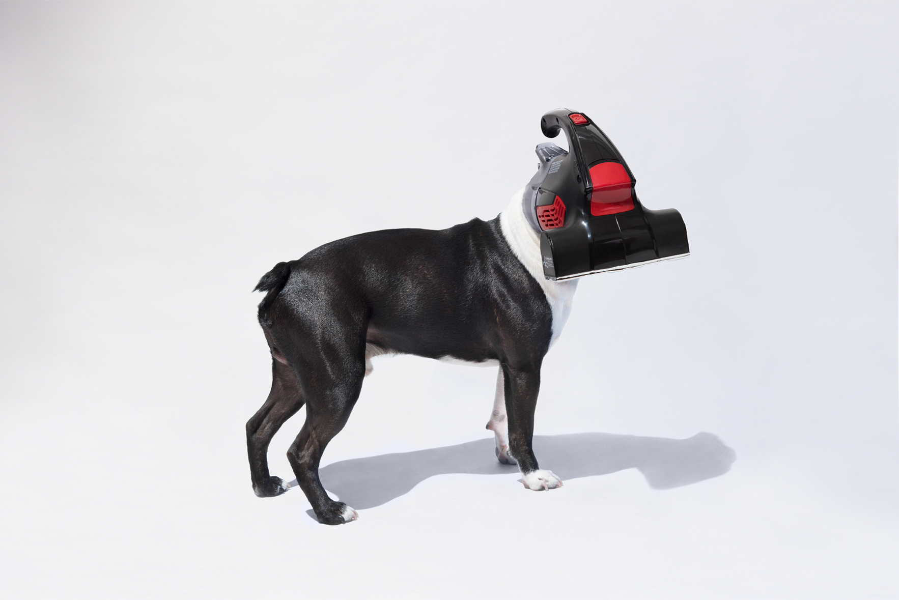 Vacuum dog，Creative design，Art guidance，Vacuum cleaner，advertisement，Art，originality，