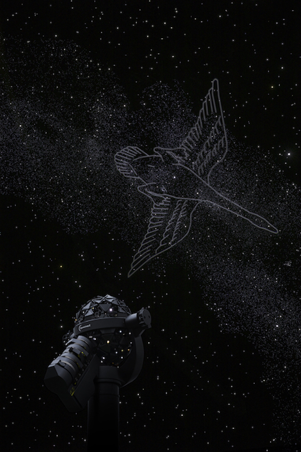 Tokyo Hotel，interactive，app，Sony，