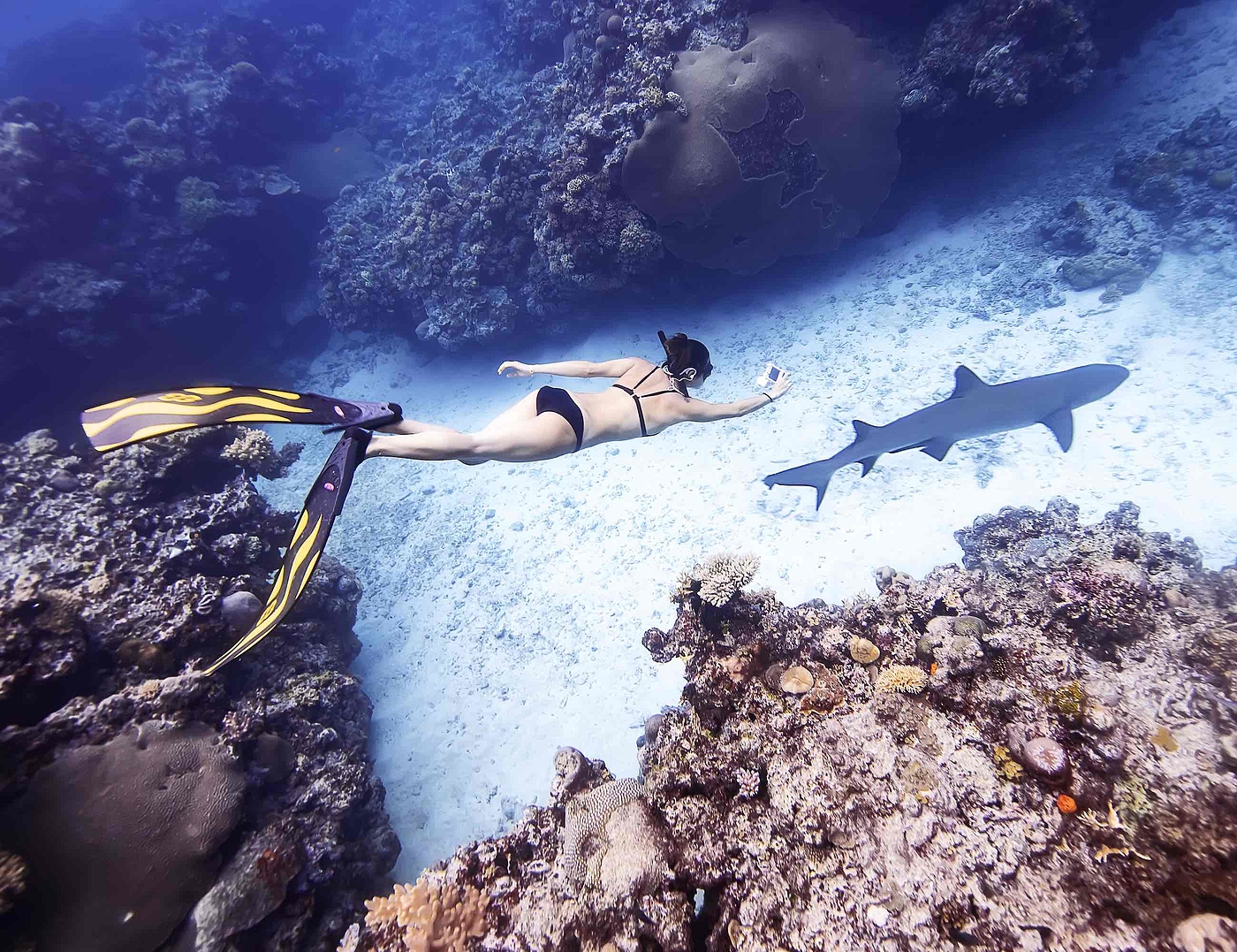 product design，Diving assistant，Digital accessories，DIVEOLK，