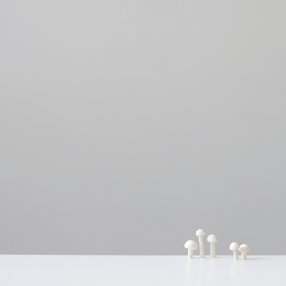 food，vision，Photography，Graphic Artist Designer，