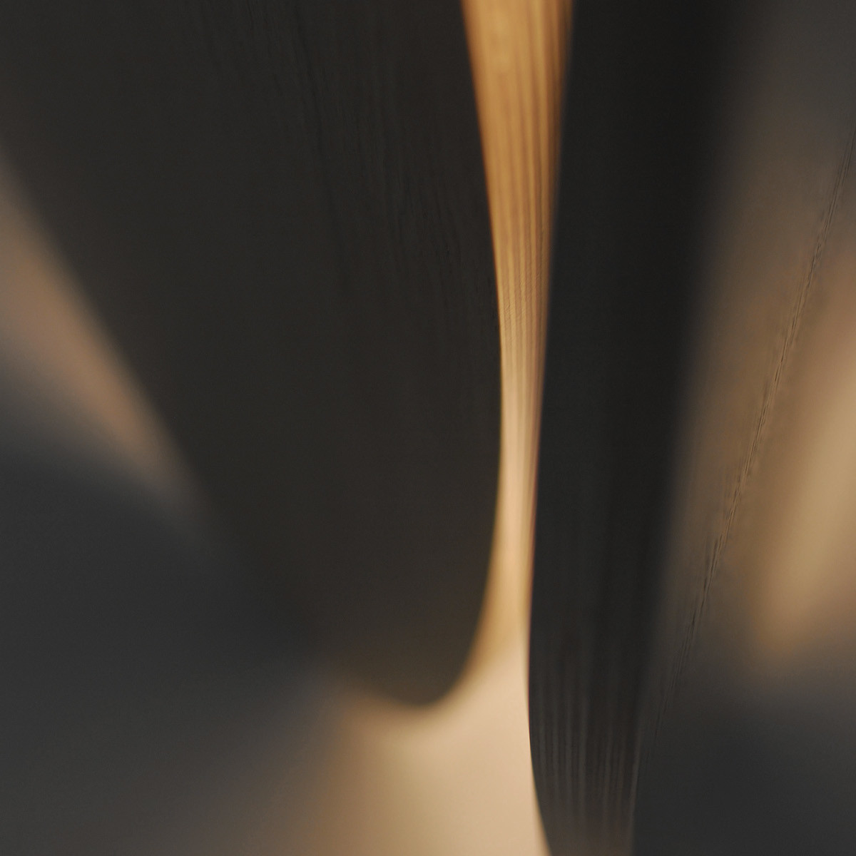 Simplicity，oak，cutting，Sculpture，tender，form，