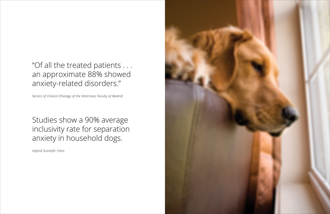 Thomas Katsikas，Pets，intelligence，wear，essential oil，Aromatherapy，Argos，app，