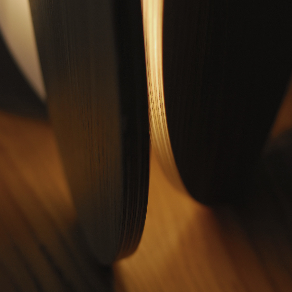 Simplicity，oak，cutting，Sculpture，tender，form，