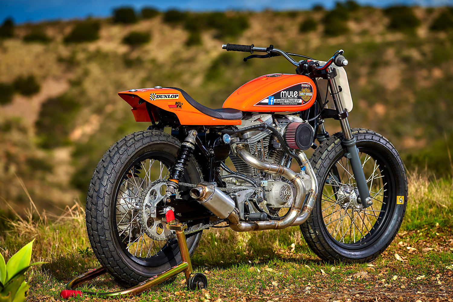 帅到窒息的一款哈雷摩托车改装霸气十足这造型太拉风