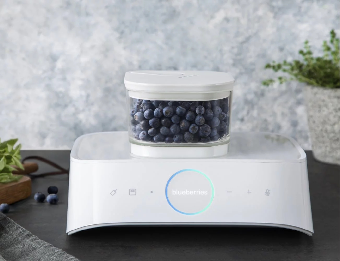 interactive，Store food，vacuum，SILO，Alexa，