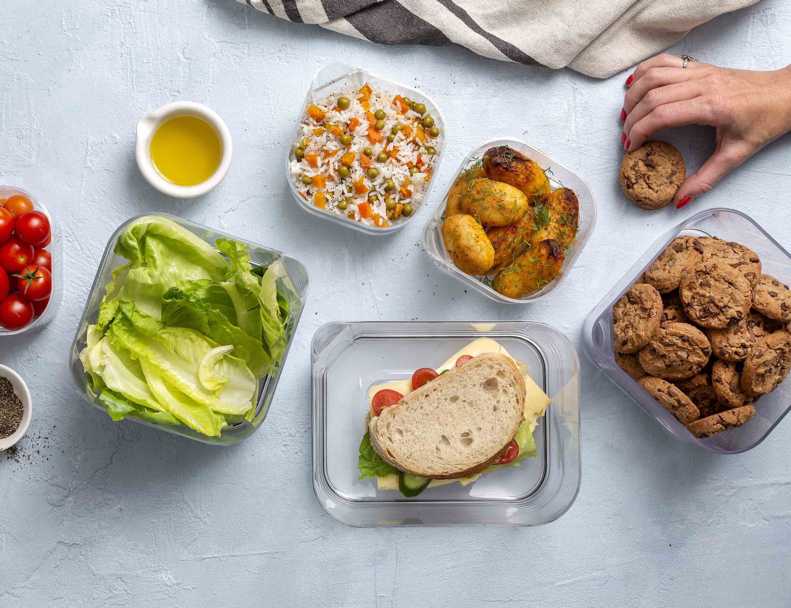 interactive，Store food，vacuum，SILO，Alexa，