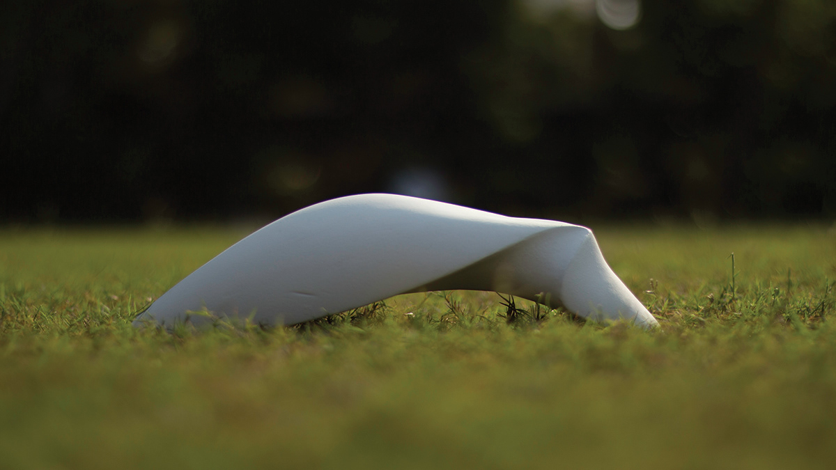 Photography，Forms，Photo，Photographer，Morphological exploration，