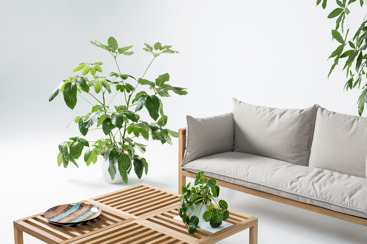 chair，sofa，furniture，outdoors，leisure time，Umomoku，