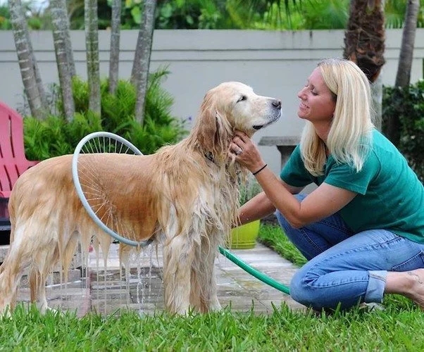 Shower suit，Pets，360 degrees，Pet Supplies & Pet，Dog Bath，Shower head，Shower，