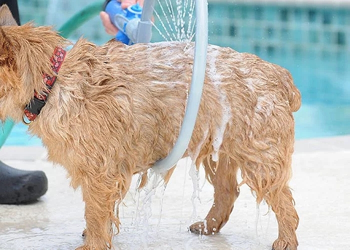 Shower suit，Pets，360 degrees，Pet Supplies & Pet，Dog Bath，Shower head，Shower，