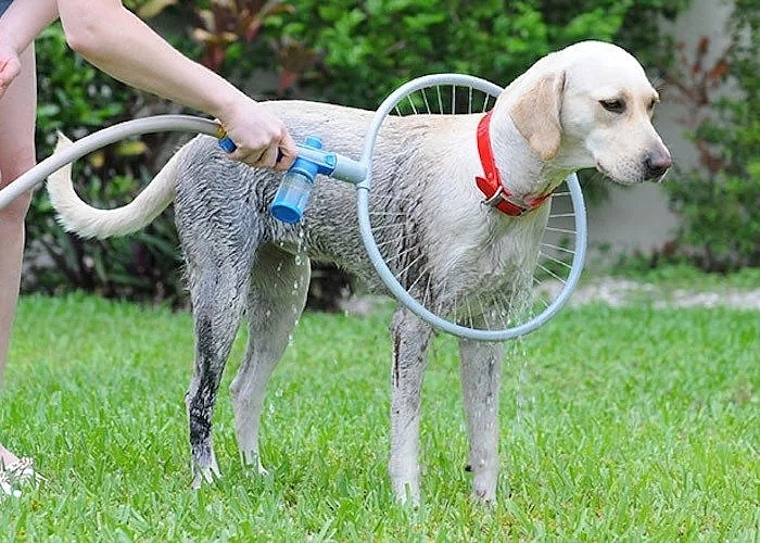 Shower suit，Pets，360 degrees，Pet Supplies & Pet，Dog Bath，Shower head，Shower，