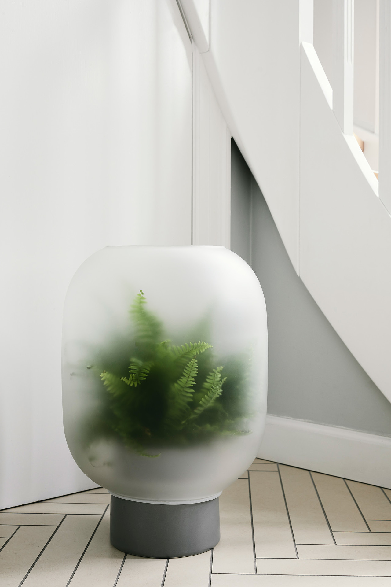 Interior design，Glass，flowers and plants，Green plant，