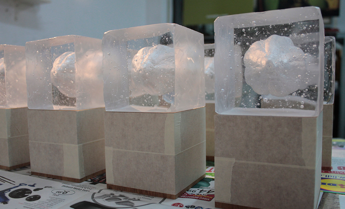 Chocolates，trophy，WCM 2015，