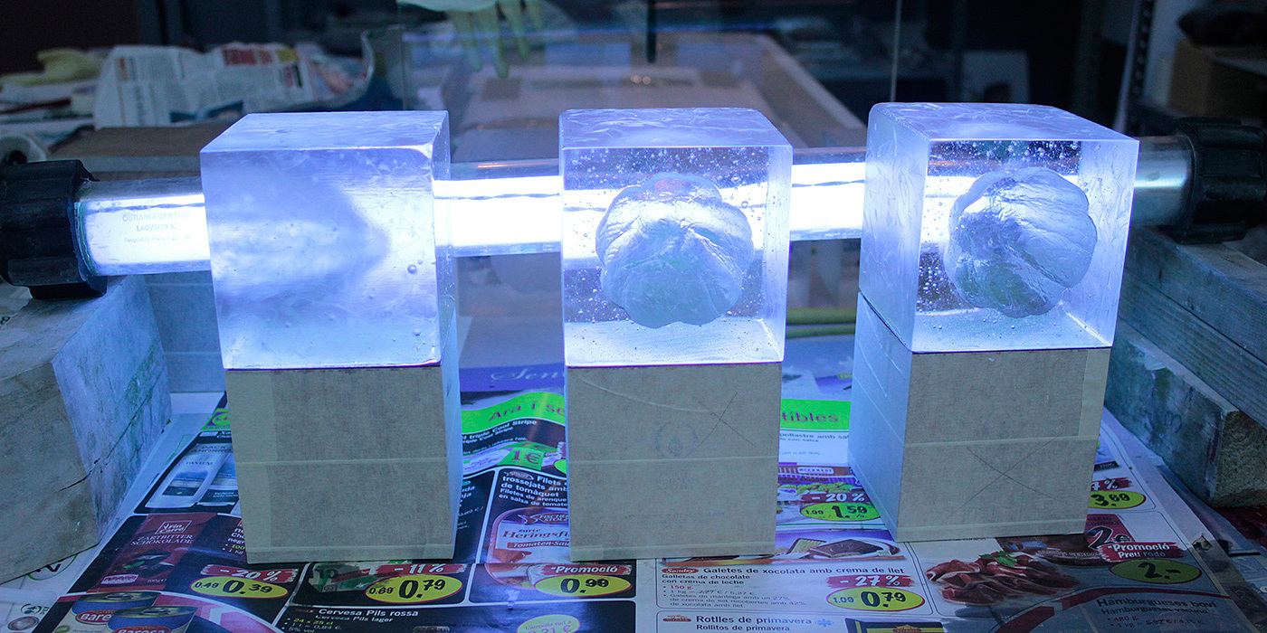 Chocolates，trophy，WCM 2015，
