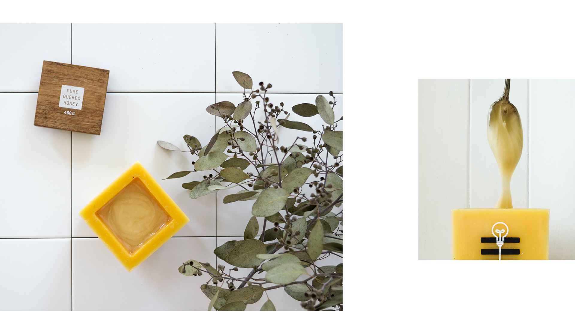 Bee Bright，packing design，environment protection，originality，