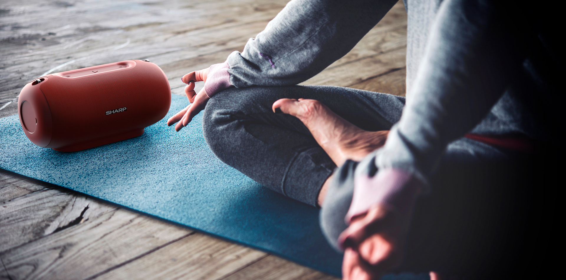 SHARP，SHARP，loudspeaker box，Digital，