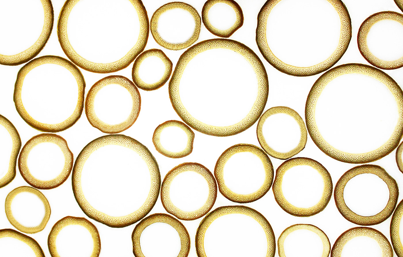 Table，cylinder，chair，stool，Clip，Original ecology，Bionics Design ，Bamboo，