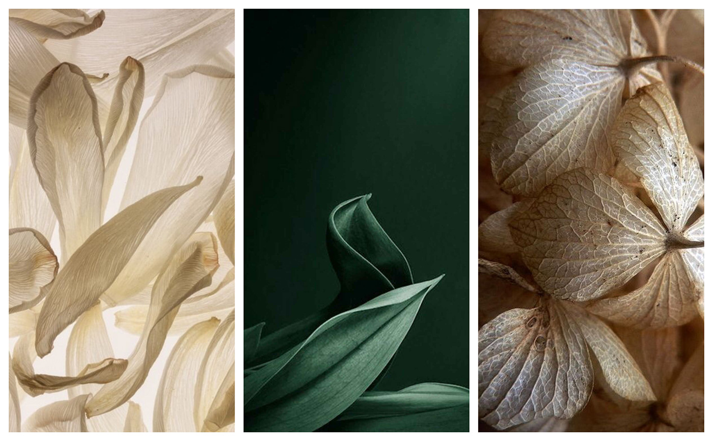 Architecture，Sculpture，communal facilities，fountain，