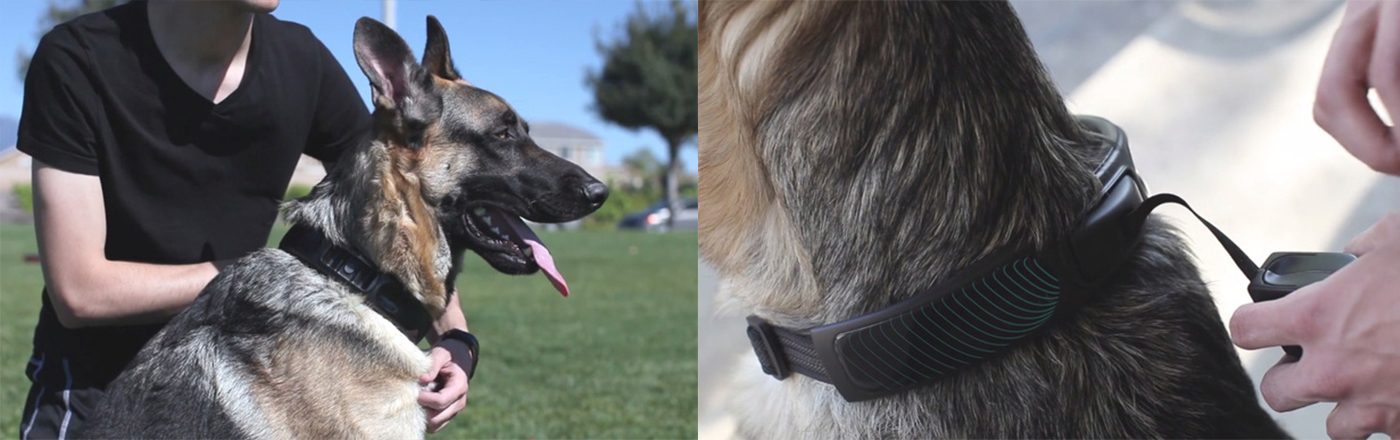 ally，Pet surroundings，peripheral，Bracelet，Dog ring，