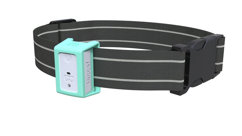 Rocca，External fixator，Pet positioning，gps，Pet Safety，