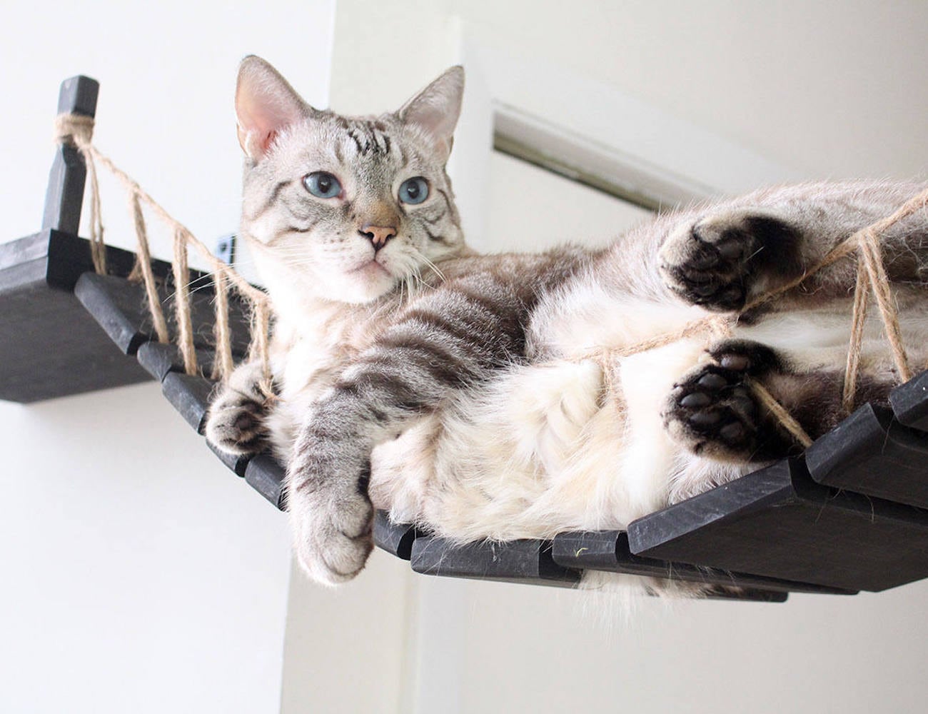 Home Furnishing，Kitty，CatastrophiCrea，rope，Cat bridge，Toys，