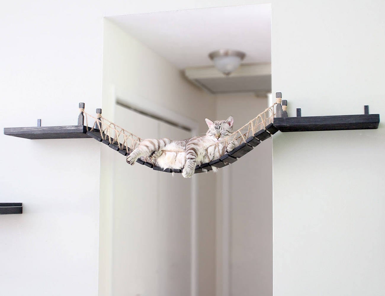 Home Furnishing，Kitty，CatastrophiCrea，rope，Cat bridge，Toys，