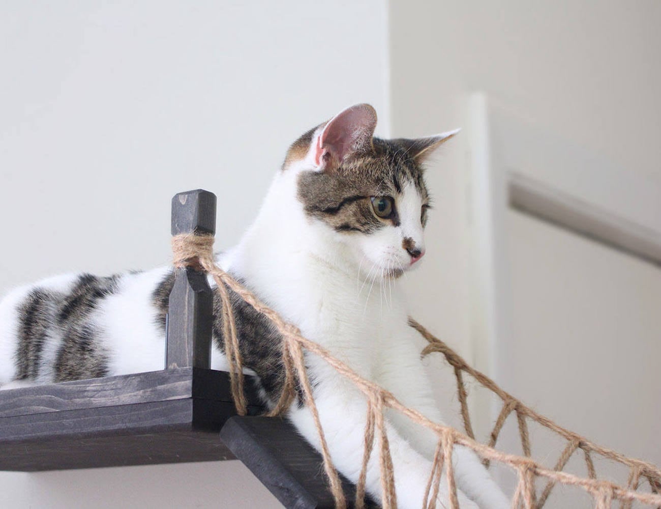 Home Furnishing，Kitty，CatastrophiCrea，rope，Cat bridge，Toys，