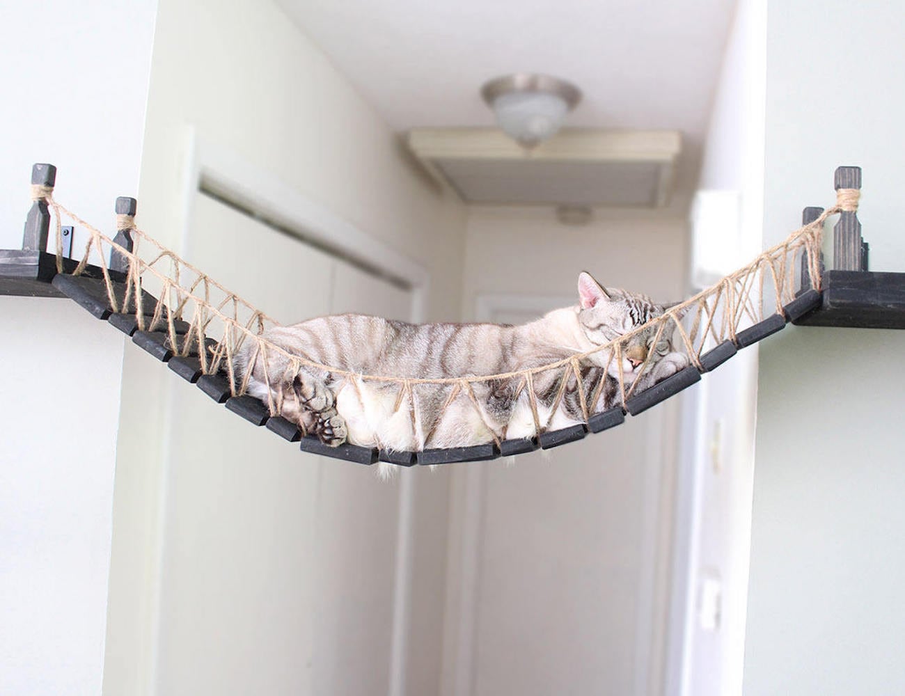 Home Furnishing，Kitty，CatastrophiCrea，rope，Cat bridge，Toys，