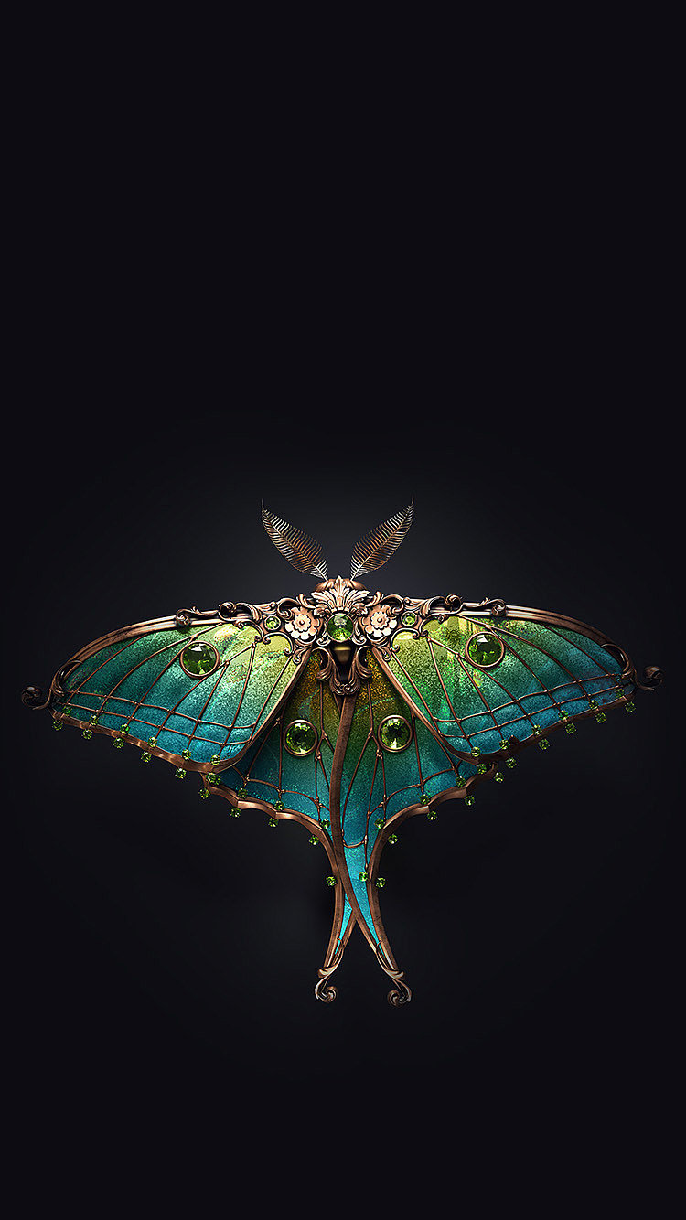 渲染，设计，昆虫，宝石，Jewel insects，饰品，