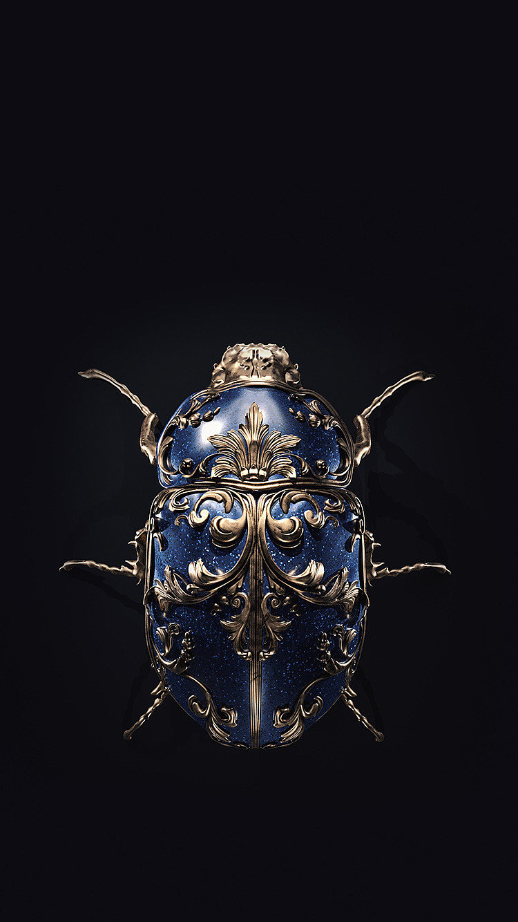 渲染，设计，昆虫，宝石，Jewel insects，饰品，