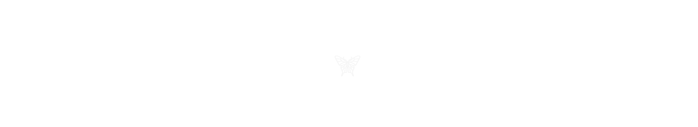 Render，Design，insect，gemstone，Jewel insects，ornaments，