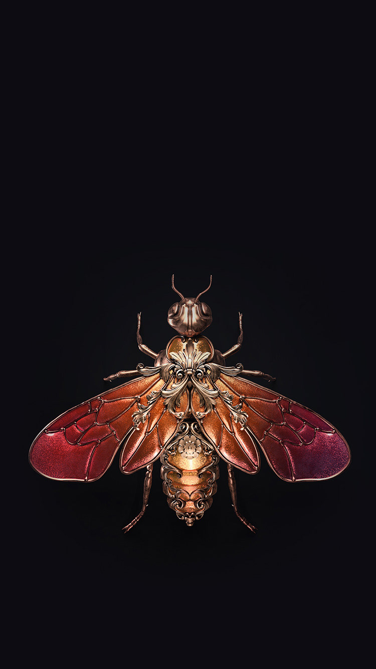 Render，Design，insect，gemstone，Jewel insects，ornaments，