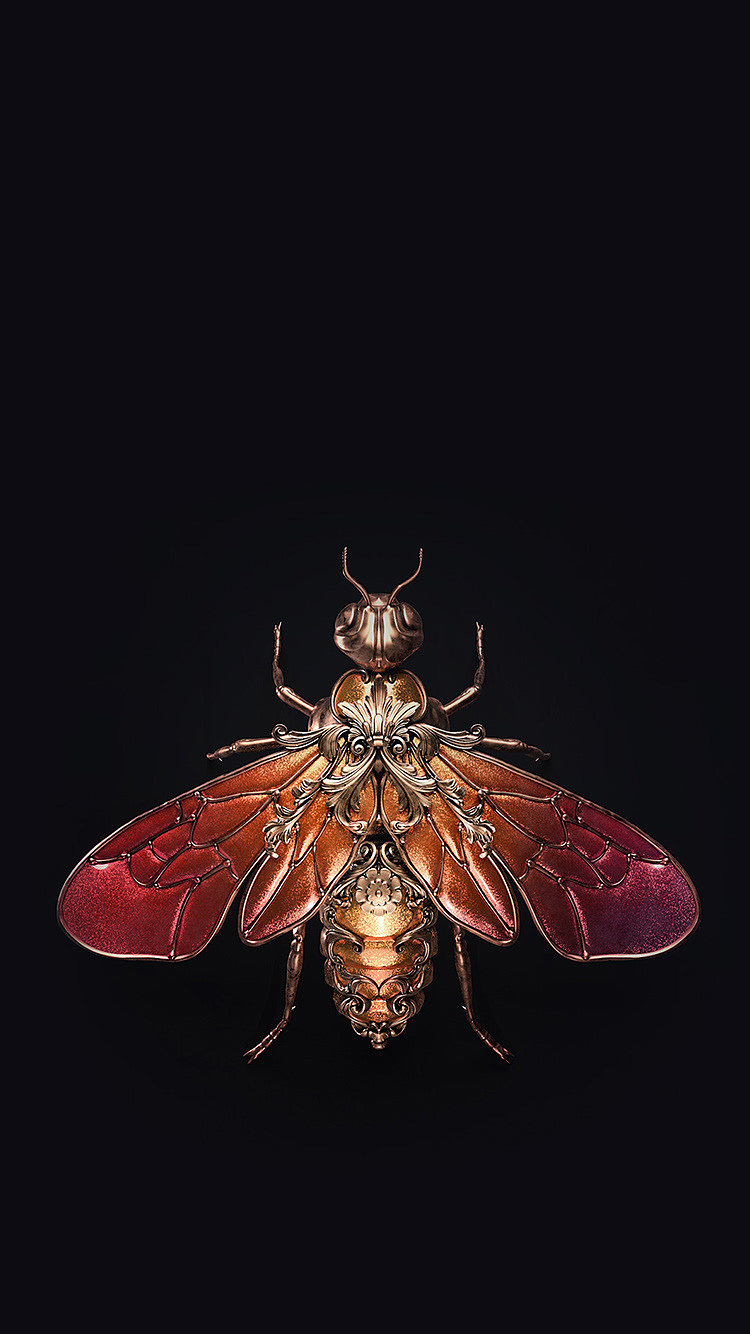 渲染，设计，昆虫，宝石，Jewel insects，饰品，