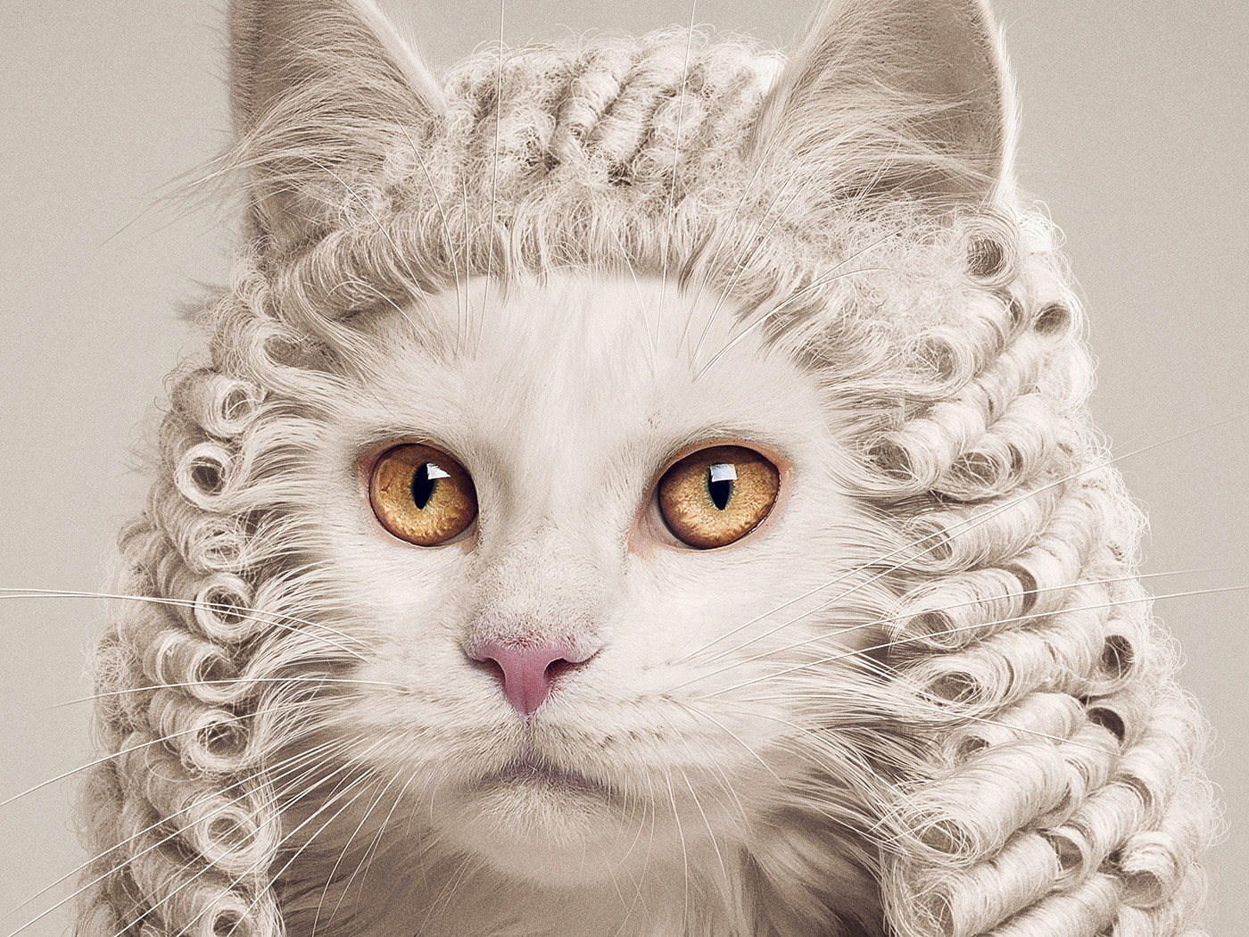 Visual design，Animal rights，Photography，